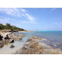 Picture Italy Sardinia Capo del Falcone 2015-06 48 - Resorts Capo del Falcone