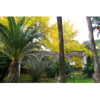 Picture Italy Rome Villa Sciarra 2007-11 64 - Hotel Pools Villa Sciarra