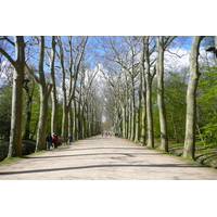 Picture France Chenonceau Castle Gardens of Chenonceau 2008-04 70 - Winter Gardens of Chenonceau