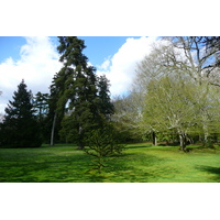 Picture France Chenonceau Castle Gardens of Chenonceau 2008-04 0 - Hotel Gardens of Chenonceau