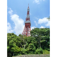 Picture Japan Tokyo Shiba Park 2010-06 8 - Room Shiba Park