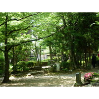 Picture Japan Tokyo Shiba Park 2010-06 11 - Land Shiba Park