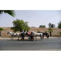 Picture Morocco Meknes 2008-07 51 - City Sights Meknes