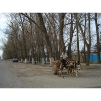 Picture Kazakhstan Almaty to Charyn Canyon road 2007-03 71 - Rentals Almaty to Charyn Canyon road