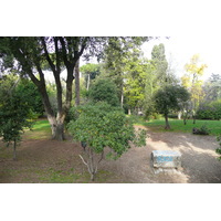 Picture Italy Rome Villa Sciarra 2007-11 55 - Savings Villa Sciarra