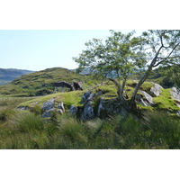 Picture United Kingdom Scotland Salen 2011-07 76 - Land Salen