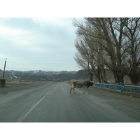 Picture Kazakhstan Almaty to Charyn Canyon road 2007-03 54 - Sauna Almaty to Charyn Canyon road