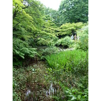 Picture Japan Tokyo Nezu Museum 2010-06 62 - Waterfalls Nezu Museum