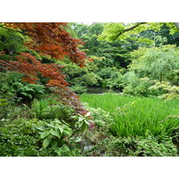 Picture Japan Tokyo Nezu Museum 2010-06 49 - Lake Nezu Museum