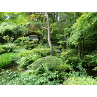 Picture Japan Tokyo Nezu Museum 2010-06 28 - Restaurant Nezu Museum