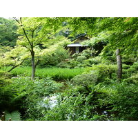 Picture Japan Tokyo 2010-06 24 - SPA Tokyo