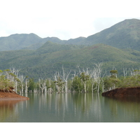 Picture New Caledonia Parc de la Riviere Bleue 2010-05 3 - Accomodation Parc de la Riviere Bleue