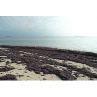 Picture Fiji Beachcomber Island 2010-05 13 - Lakes Beachcomber Island