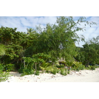 Picture Fiji Beachcomber Island 2010-05 26 - Streets Beachcomber Island