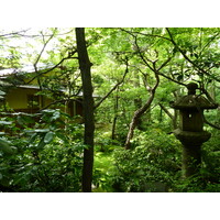 Picture Japan Tokyo Nezu Museum 2010-06 64 - Resorts Nezu Museum