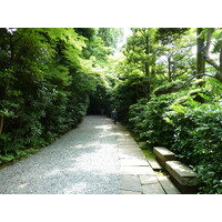 Picture Japan Tokyo Nezu Museum 2010-06 51 - Sauna Nezu Museum