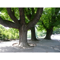 Picture France Paris Parc des Butes Chaumont 2007-08 109 - Monument Parc des Butes Chaumont