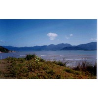 Picture Vietnam Na Trang 1995-12 34 - Savings Na Trang