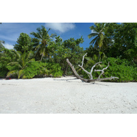 Picture Seychelles Anse Lazio 2011-10 171 - Shopping Anse Lazio