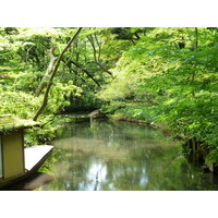 Picture Japan Tokyo Nezu Museum 2010-06 85 - Shopping Nezu Museum