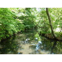 Picture Japan Tokyo Nezu Museum 2010-06 77 - Resorts Nezu Museum