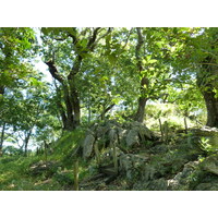 Picture Fiji Tavuni Hill Fort 2010-05 1 - Rain Season Tavuni Hill Fort