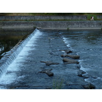 Picture Japan Kyoto Kamo River 2010-06 11 - Spring Kamo River