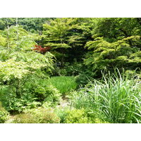 Picture Japan Tokyo Nezu Museum 2010-06 36 - Waterfalls Nezu Museum