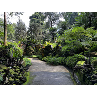 Picture Singapore Singapore Botanic Gardens 2023-01 37 - Monuments Singapore Botanic Gardens