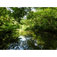 Picture Japan Tokyo Nezu Museum 2010-06 116 - City Sight Nezu Museum