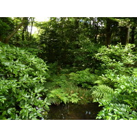 Picture Japan Tokyo Nezu Museum 2010-06 18 - Resort Nezu Museum