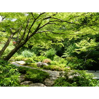 Picture Japan Tokyo Nezu Museum 2010-06 2 - Sauna Nezu Museum