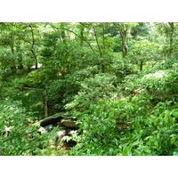 Picture Japan Tokyo Nezu Museum 2010-06 120 - Waterfall Nezu Museum