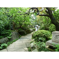 Picture Japan Tokyo Nezu Museum 2010-06 10 - Waterfalls Nezu Museum