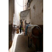 Picture Morocco Fes 2008-07 30 - Room Fes