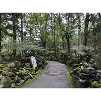 Picture Singapore Singapore Botanic Gardens 2023-01 12 - Waterfall Singapore Botanic Gardens