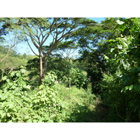 Picture Fiji Sigatoka river 2010-05 101 - Cost Sigatoka river