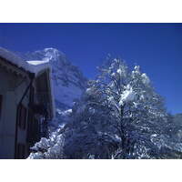 Picture Swiss Grindelwald 1999-04 10 - Rentals Grindelwald