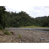 Picture Costa Rica Pacuare River 2015-03 181 - Land Pacuare River