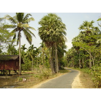 Picture Myanmar Maungmagan North 2005-01 8 - Winter Maungmagan North