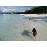 Picture New Caledonia Lifou Chateaubriant bay 2010-05 73 - Street Chateaubriant bay