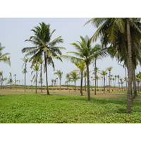 Picture India Goa hyatt hotel 2003-05 38 - Rain Season hyatt hotel