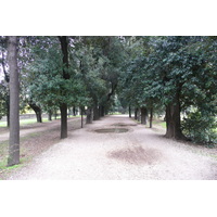 Picture Italy Rome Villa Doria Pamphili 2007-11 29 - Monuments Villa Doria Pamphili