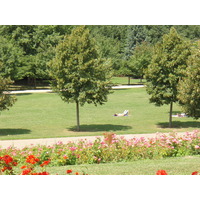 Picture France Villeneuve La Garenne Parc des Chanteraines 2007-07 0 - Shopping Parc des Chanteraines