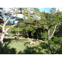 Picture New Caledonia Canala to La Foa road 2010-05 7 - Spring Canala to La Foa road