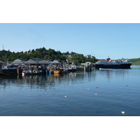 Picture United Kingdom Scotland Oban 2011-07 42 - Hot Season Oban