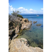 Picture France Porquerolles Island Pointe du Lequin 2008-05 54 - Savings Pointe du Lequin