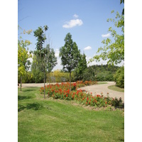 Picture France Villeneuve La Garenne Parc des Chanteraines 2007-07 1 - Rain Season Parc des Chanteraines