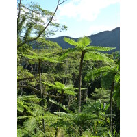 Picture New Caledonia Canala to La Foa road 2010-05 59 - Rentals Canala to La Foa road