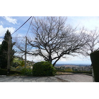 Picture France Vence Hauts de Vence 2008-03 62 - Price Hauts de Vence